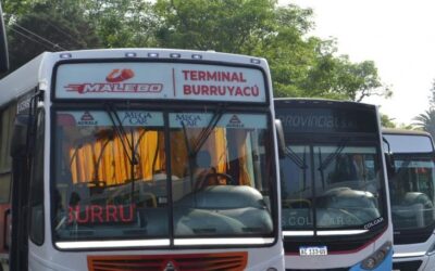 Llegaron nuevos colectivos para fortalecer el transporte público en Tucumán