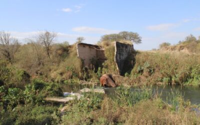 Mayor conectividad en el interior: Después de 20 años, el Puente del Coy de Estación Aráoz será reconstruido